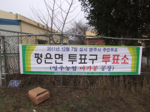 영주서 전국 첫 주민투표 실시