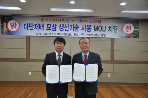 ‘채소용 새싹 인삼’…원활한 묘삼공급의 길 열린다
