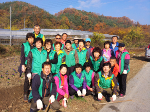 김천 봉산면, 꽃밭 조성 볼거리 제공