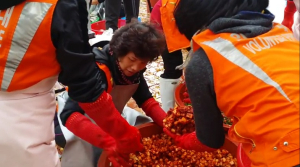 안동여성의용소방대 사랑의 김장나누기 봉사활동 펼쳐