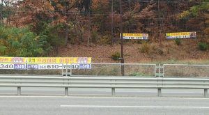 불법현수막 극성…솜방망이 처벌 탓?