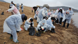 삼성전자 스마트시티, 철새도래지 모이주기