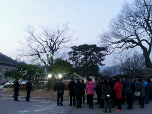 영주순흥 지역 교회 크리스마스 트리 점등식