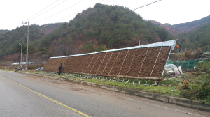 영양농기센터, 약용작물 ‘고본’ 육성 