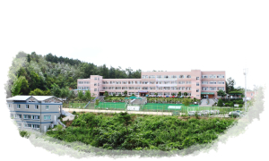 학교교육과정운영 최우수 