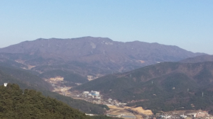“새해 첫 소망 자고산서~”