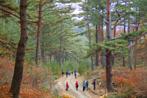 군민과 함께 만드는 행복한 울진 모범 공무원분들 “감사합니다”