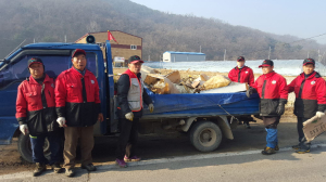 고령군 다산면 산불감시원, 자연정화활동