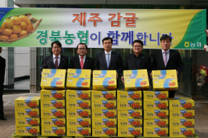 경북농협, 감귤 팔아주기 캠페인 실시