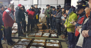 박승호, 죽도시장 경매장 방문 어민 애환 경청 