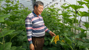 북극 한파에도 끄떡없는 지열 냉․난방 시설하우스