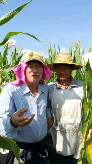 한동대 김순권 석좌교수, 식량위기ㆍ기후변화 해결 도전