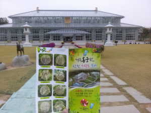 한복 입고 경주로 오세요