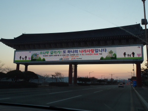 설명절 귀성길 죽은 소나무 신고해 주세요