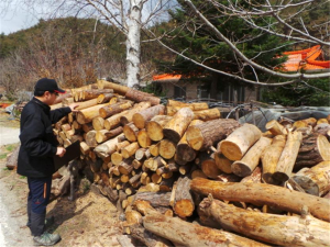 남부산림청, 소나무류 이동 ‘철통 감시’