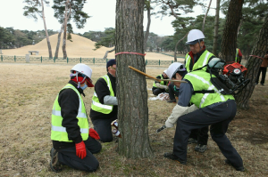 경주, 내달말까지 문화재구역  대대적인 ‘재선충 방제작업’
