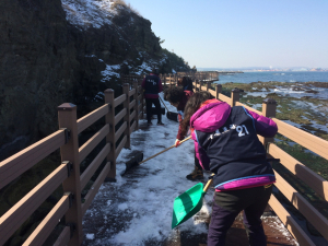 푸른포항21 동해면 위원회, 하선대 둘레길에서 환경정화활동 실시