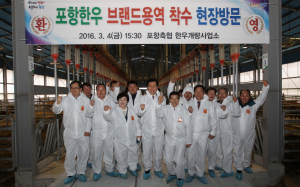 ‘부추 먹인 포항한우’ 명품으로 거듭난다