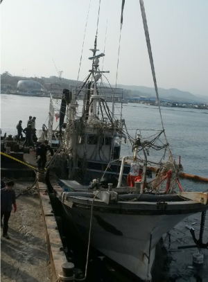 전복 어선 포항 예인 시신 1구 추가 발견