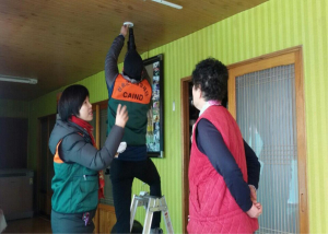 안전한 청송마을 만든다