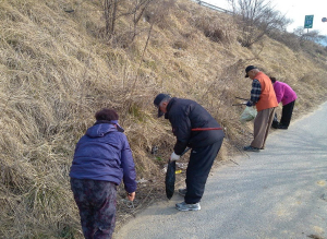 성주읍, 노인일자리사업