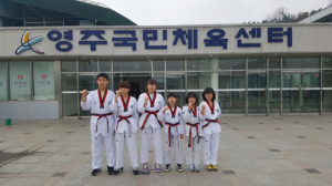 청도초 태권 꿈나무, 道 대표 선발 ‘초록불’