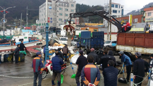 울릉, 저동항서 해양쓰레기 등 어업폐기물 수거