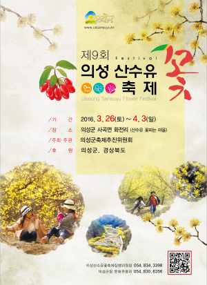 산수유 노란 꽃 의성 뒤덮다
