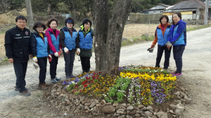 포항 대송면사무소, 봄맞이 꽃단장