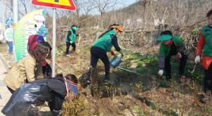고령 덕곡면, 봄꽃 식재로 봄맞이 한창