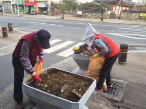 본격적인 관광시즌을 맞은 관광도시 경주, 봄꽃으로 물들다.
