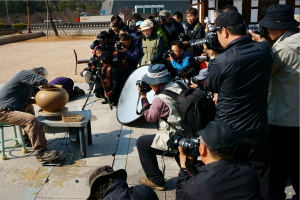 ‘찰칵~’ 나들이에 카메라는 필수품!