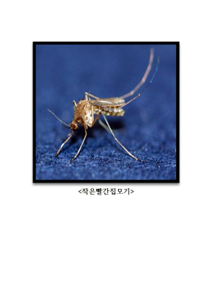 남ㆍ북구보건소 “일본뇌염 주의하세요”