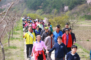 “함께 걸으며 가족건강 지켜요”  울진, 매화천둘레길 걷기대회
