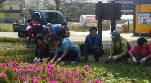 성주읍, 연산마을 꽃동산 다시 꽃피우다