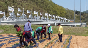 성주군 가천면, 새마을 남·여 지도자협의회 클린농장 운영