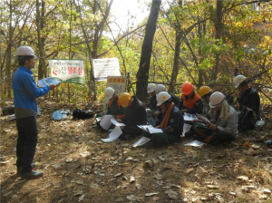 봄철 산림사업장 합동 안전 점검