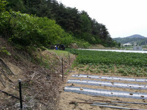 울진, 야생동물 농작물 피해예방 설치비 지원