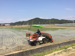 “농사 시작합니다” 봉화군 첫 모내기