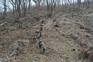 나무심기 사업 ‘경제림 단지’로 육성
