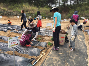 “텃밭만 있으면 나도 도시농부”