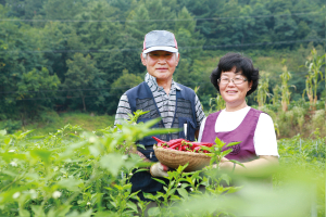 우리집 식탁에 친환경 농산물 직접 선택해요  ‘꾸러미 사업’