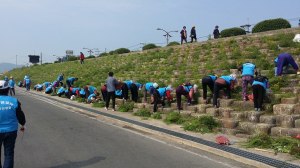해도동, 제초작업 실시