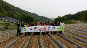 일손돕기호응