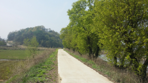 ‘시원하게 뻥!’ 영주 제방도로 확장공사