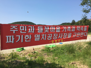흥해 멸치건조장ㆍ들꽃마을 ‘일촉즉발’