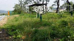 카메라 고발(무성한 풀밭에 가려진 운동기구)