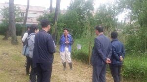 ‘맹꽁이는 어디에’…포항 서식지 실태조사