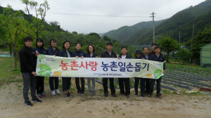 포항 북구청 복지환경위생과, 농촌 일손 돕기