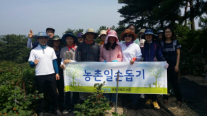 포항시립도서관, 영농철 맞아 산딸기 농가 일손돕기 활동